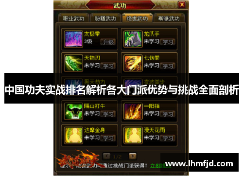 中国功夫实战排名解析各大门派优势与挑战全面剖析