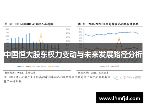 中国恒大股东权力变动与未来发展路径分析