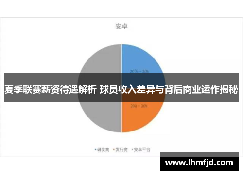 夏季联赛薪资待遇解析 球员收入差异与背后商业运作揭秘